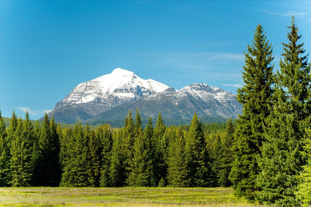 8500 North Fork Road, Polebridge, MT 59928 photo 80