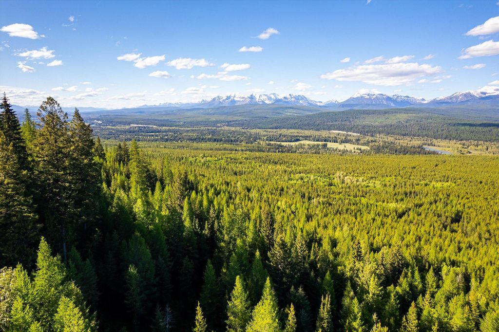 8500 North Fork Road, Polebridge, MT 59928 photo 85