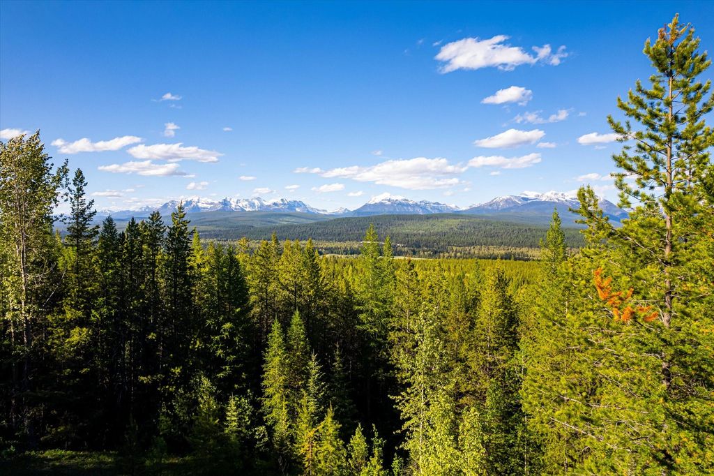 8500 North Fork Road, Polebridge, MT 59928 photo 86