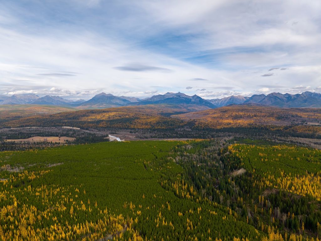 8500 North Fork Road, Polebridge, MT 59928 photo 90