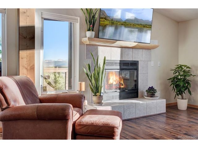 1243 Platte River Dr, Alma, CO 80440