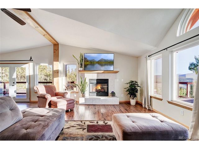 1243 Platte River Dr, Alma, CO 80440