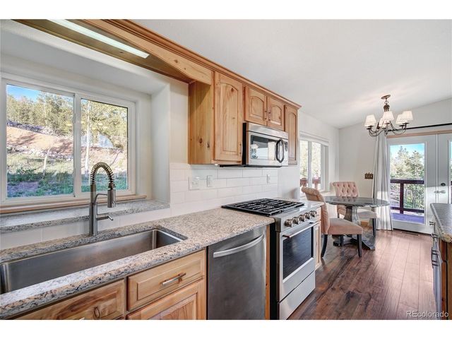 1243 Platte River Dr, Alma, CO 80440