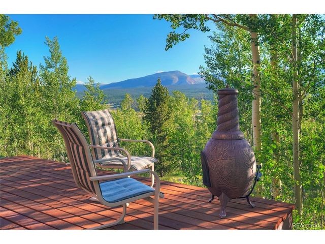 1243 Platte River Dr, Alma, CO 80440