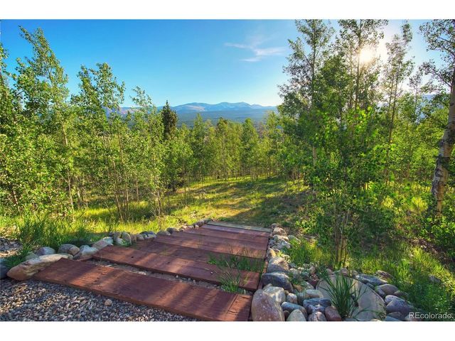 1243 Platte River Dr, Alma, CO 80440