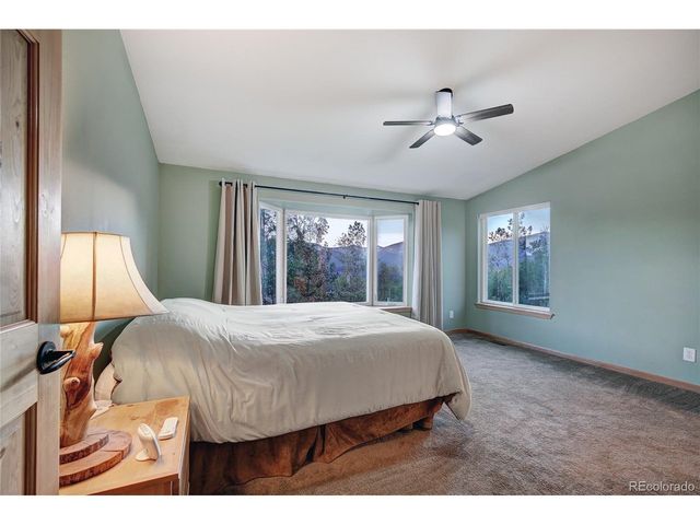 1243 Platte River Dr, Alma, CO 80440