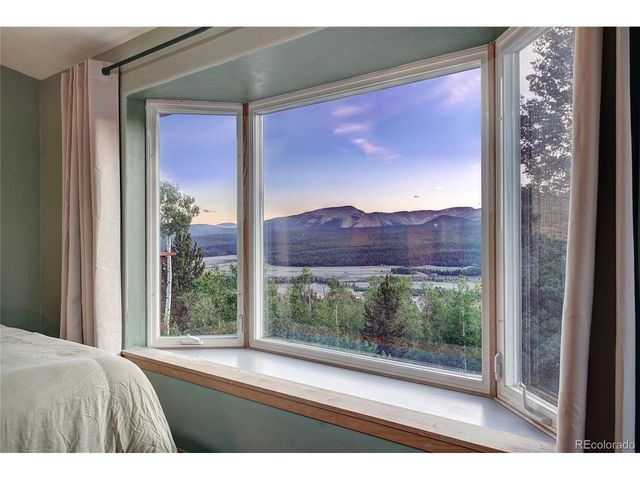 1243 Platte River Dr, Alma, CO 80440