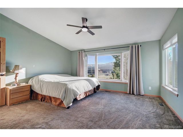 1243 Platte River Dr, Alma, CO 80440