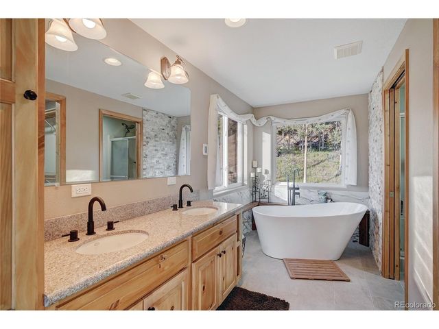 1243 Platte River Dr, Alma, CO 80440