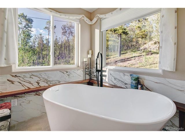 1243 Platte River Dr, Alma, CO 80440