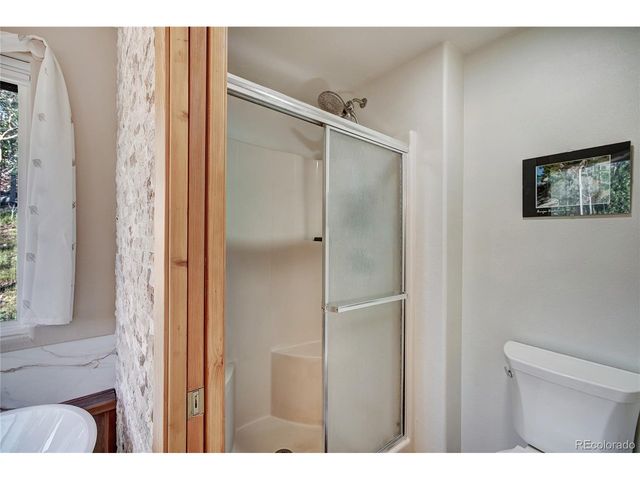 1243 Platte River Dr, Alma, CO 80440