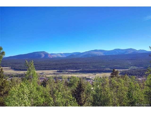 1243 Platte River Dr, Alma, CO 80440