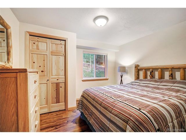 1243 Platte River Dr, Alma, CO 80440