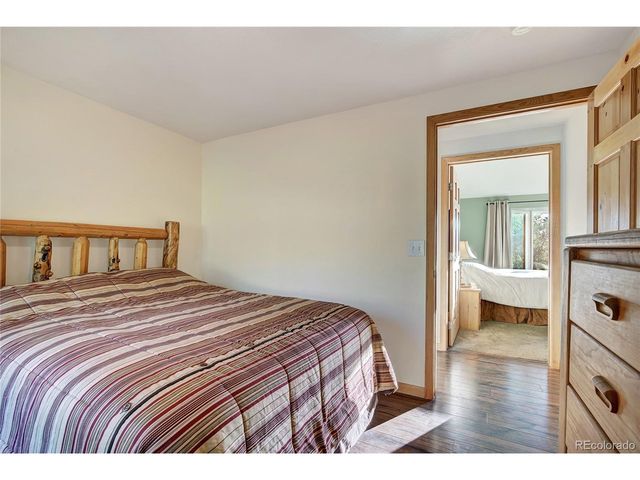 1243 Platte River Dr, Alma, CO 80440