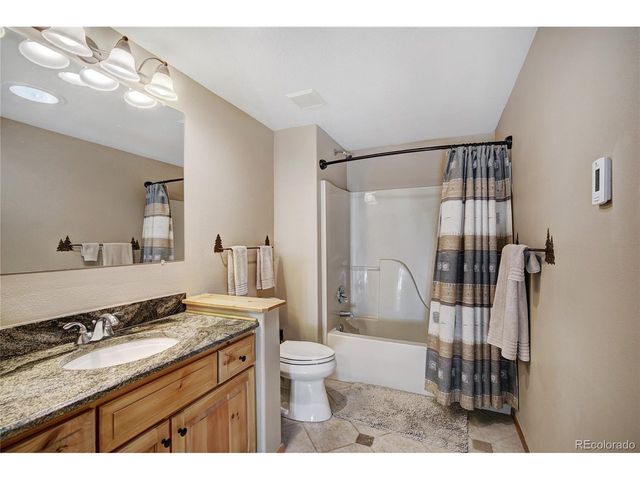 1243 Platte River Dr, Alma, CO 80440