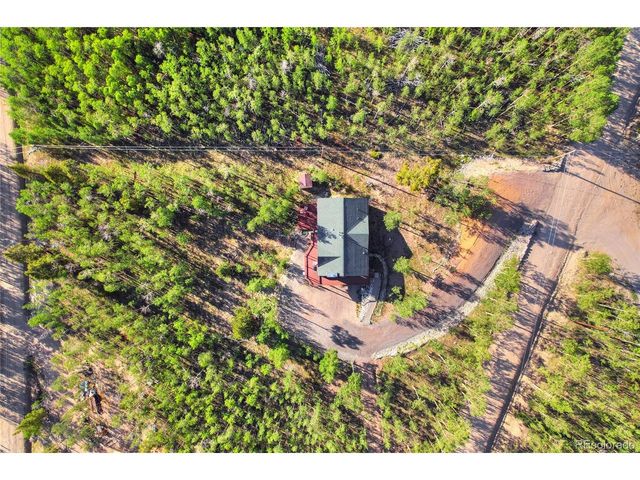 1243 Platte River Dr, Alma, CO 80440