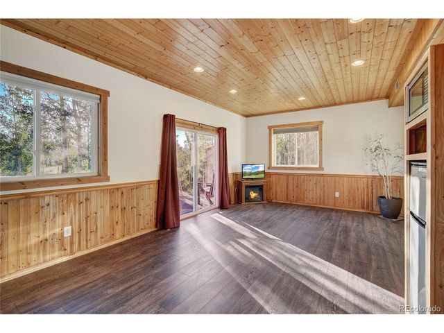 1243 Platte River Dr, Alma, CO 80440