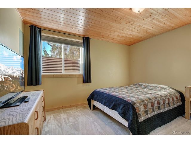 1243 Platte River Dr, Alma, CO 80440