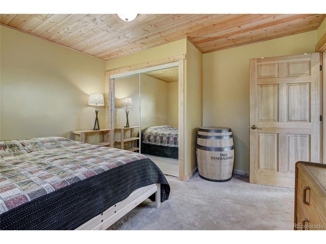 1243 Platte River Dr, Alma, CO 80440