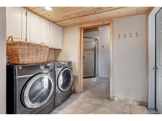 1243 Platte River Dr, Alma, CO 80440