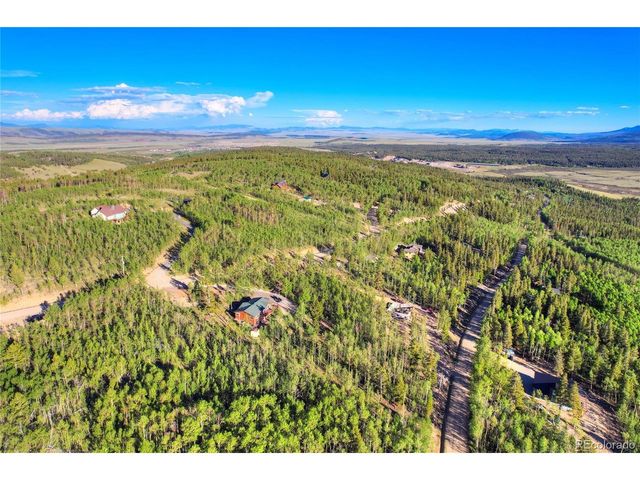 1243 Platte River Dr, Alma, CO 80440
