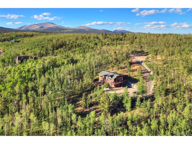 1243 Platte River Dr, Alma, CO 80440