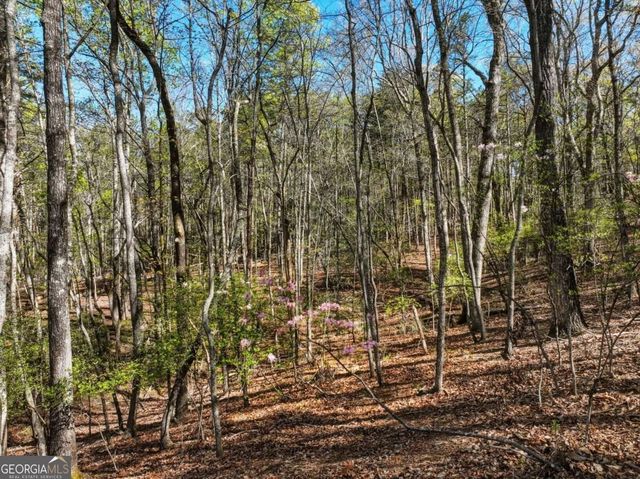 320 Fern Park Drive, Dawsonville, GA 30534