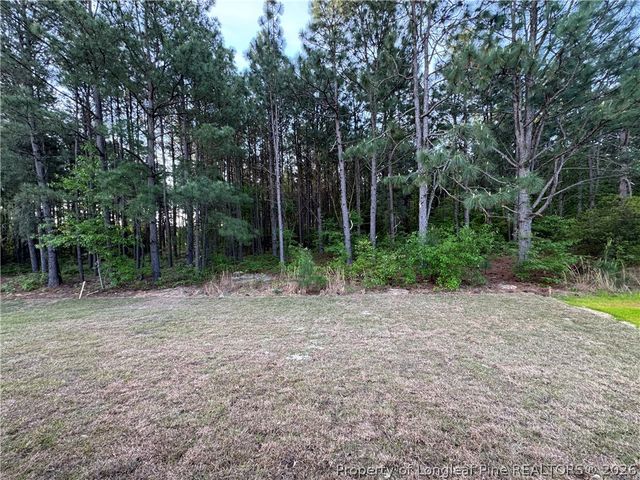 228 Ironbark Drive, Raeford, NC 28376