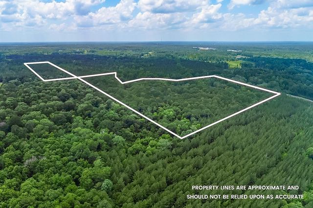 2710 Hwy 49, Collins, MS 39428