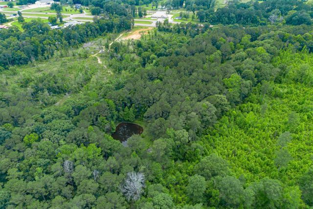 2710 Hwy 49, Collins, MS 39428