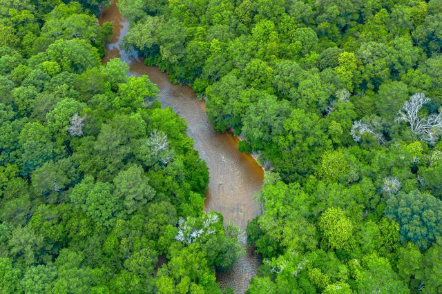 2710 Hwy 49, Collins, MS 39428