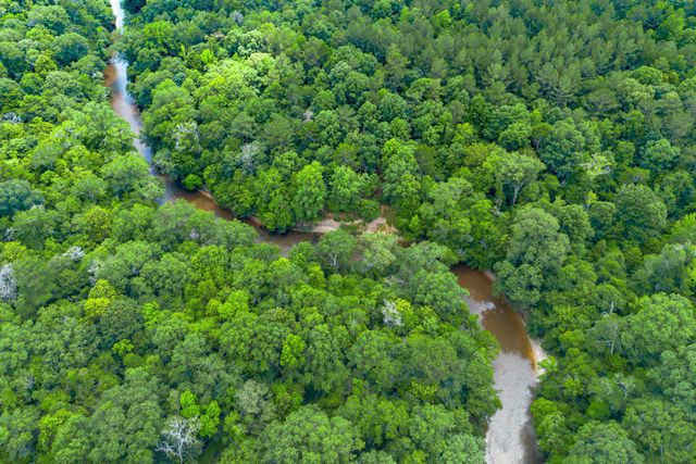 2710 Hwy 49, Collins, MS 39428