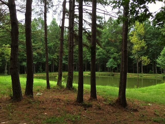 2710 Hwy 49, Collins, MS 39428