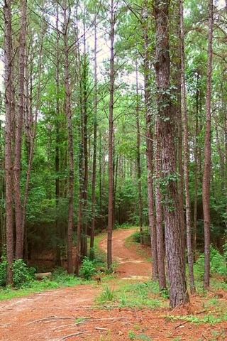 2710 Hwy 49, Collins, MS 39428