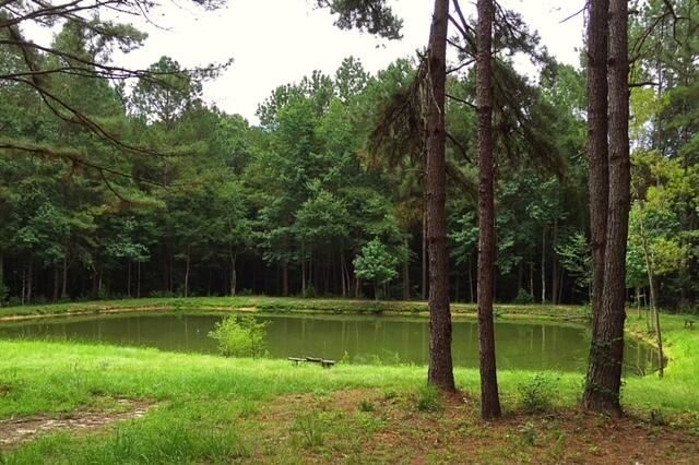 2710 Hwy 49, Collins, MS 39428