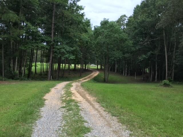 2710 Hwy 49, Collins, MS 39428