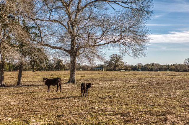 23032 Oak Road, New Ulm, TX 78950