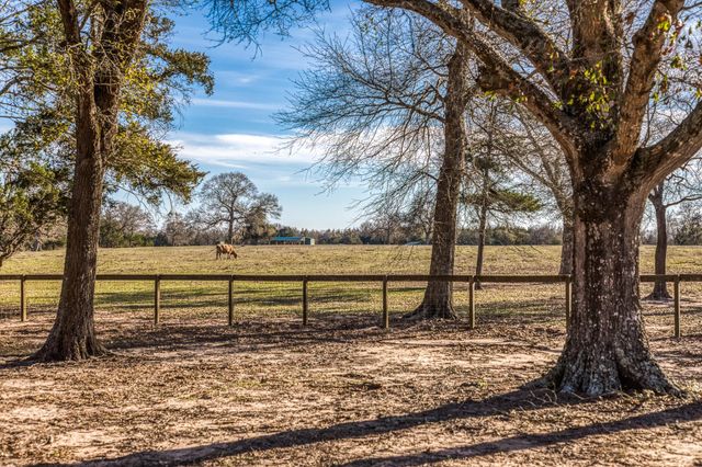 23032 Oak Road, New Ulm, TX 78950