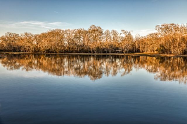 23032 Oak Road, New Ulm, TX 78950