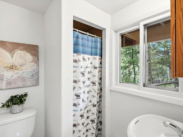 11742 Braun Way, Conifer, CO 80433