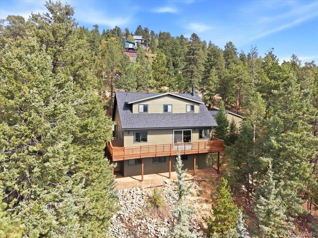 11742 Braun Way, Conifer, CO 80433