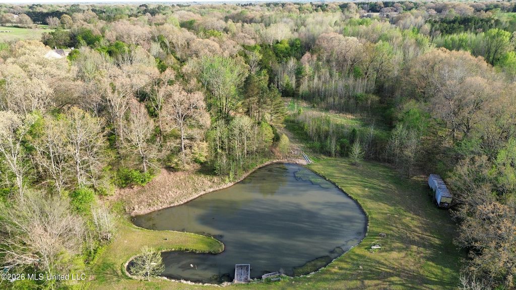 3581 Countyline Tate Road, Coldwater, MS 38618 — photo 3