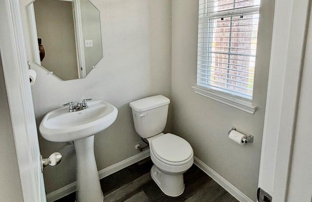 23663 Rainbow Eucalyptus Drive, Spring, TX 77373