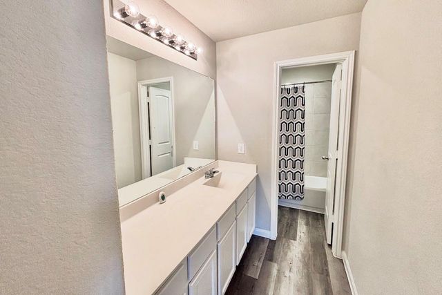 23663 Rainbow Eucalyptus Drive, Spring, TX 77373