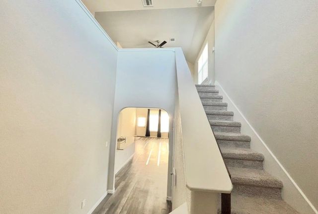 23663 Rainbow Eucalyptus Drive, Spring, TX 77373