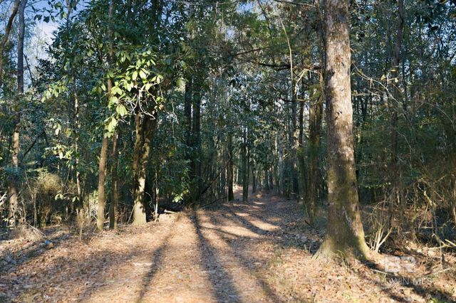 9510 D'olive Road, Spanish Fort, AL 36527