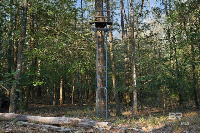 9510 D'olive Road, Spanish Fort, AL 36527