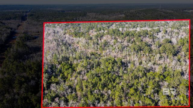 9510 D'olive Road, Spanish Fort, AL 36527