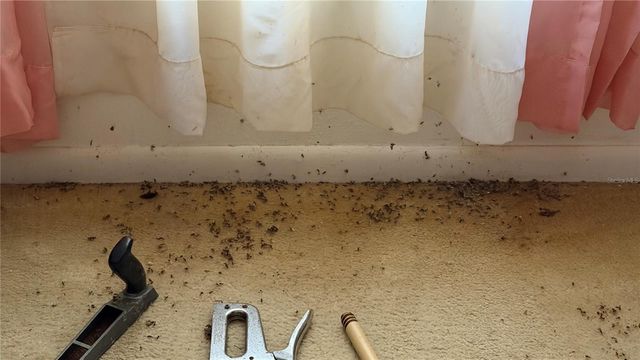 2462 STEPHANIE DRIVE, Spring Hill, FL 34608