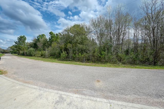 TBD Windswept Way, Willis, TX 77378